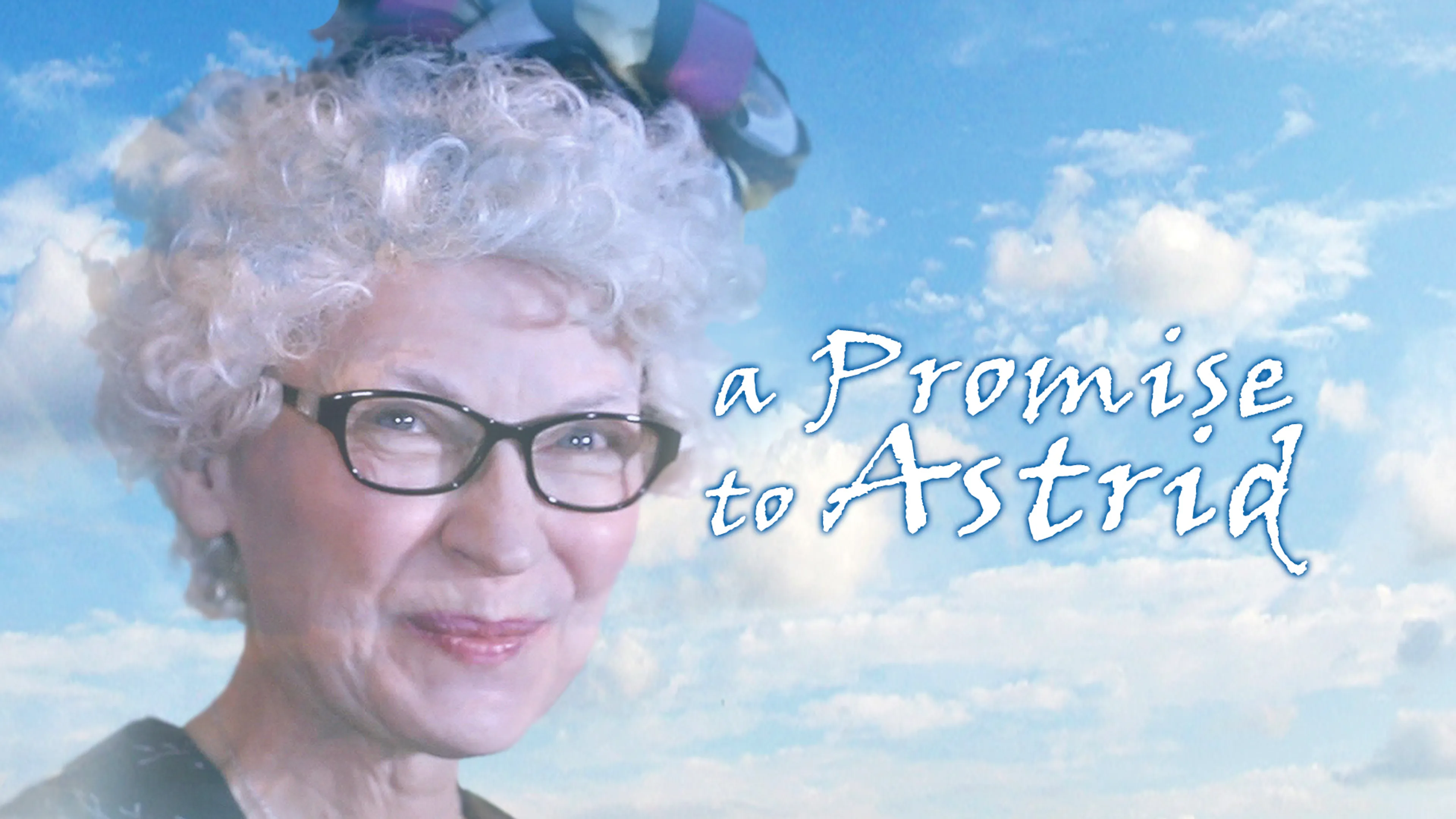 A Promise to Astrid poster